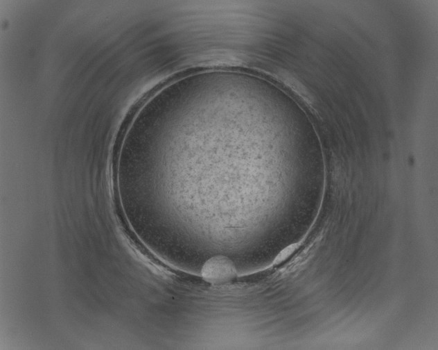 X0000074040840200608281442