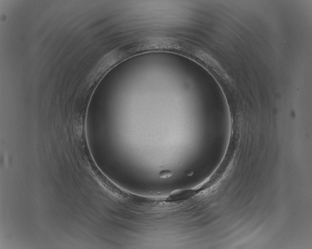 X0000074040841200608281443