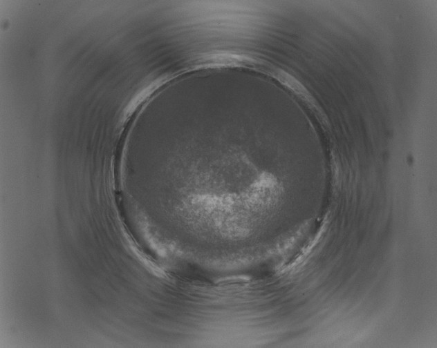 X0000074040842200608281443