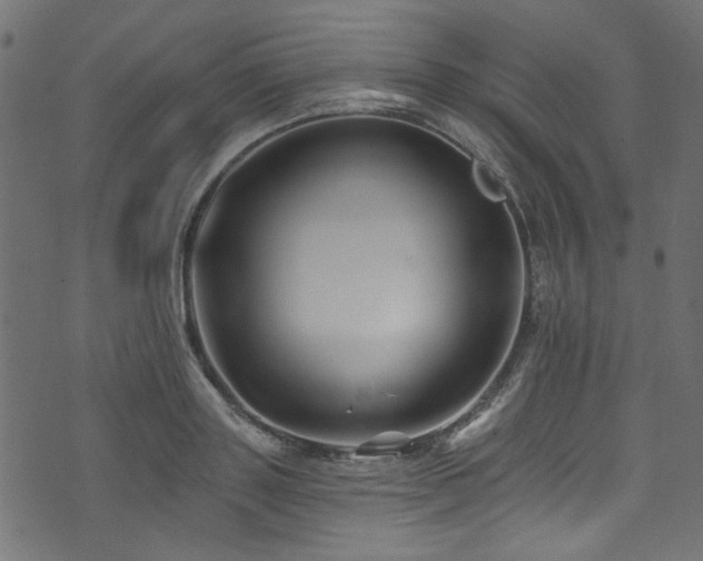 X0000074040843200608281443