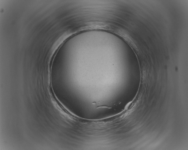 X0000074040844200608281443