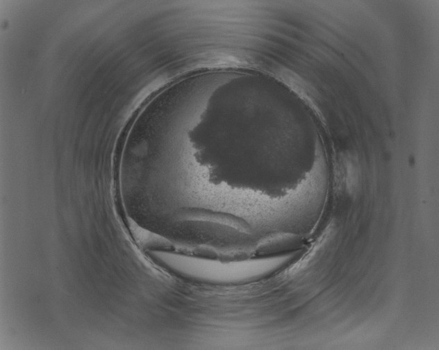 X0000074040845200608281443