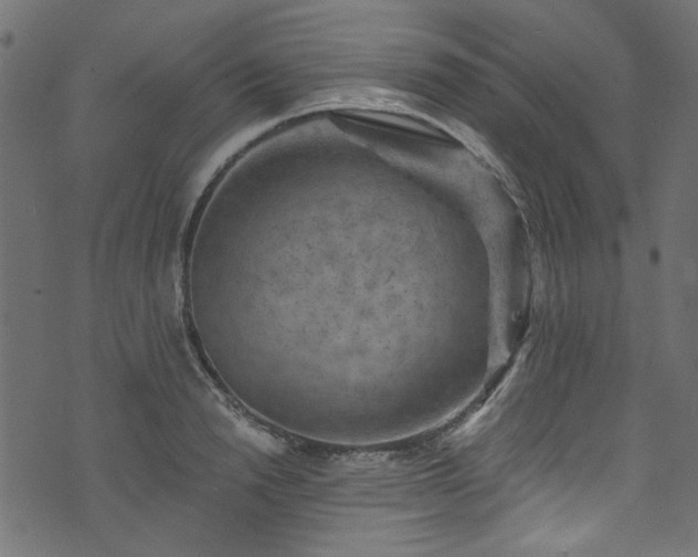 X0000074040846200608281443