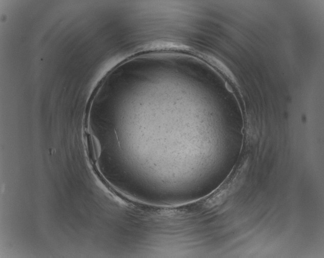 X0000074040847200608281443