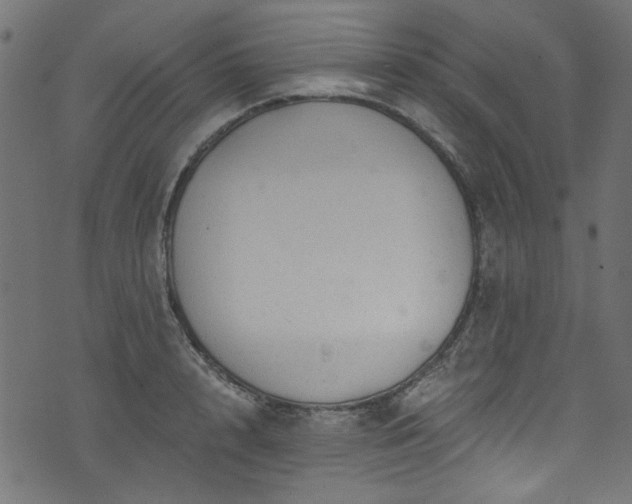 X0000074040848200608281443