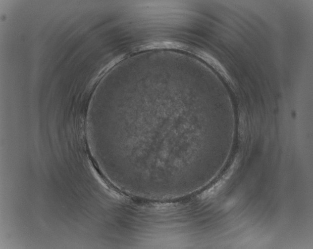 X0000074040849200608281443