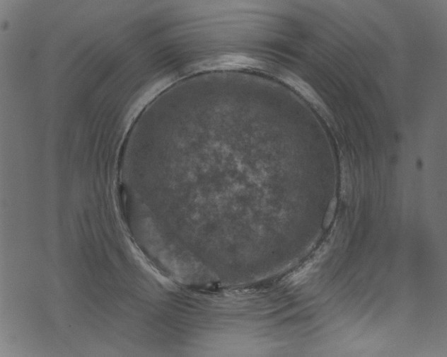 X0000074040850200608281443