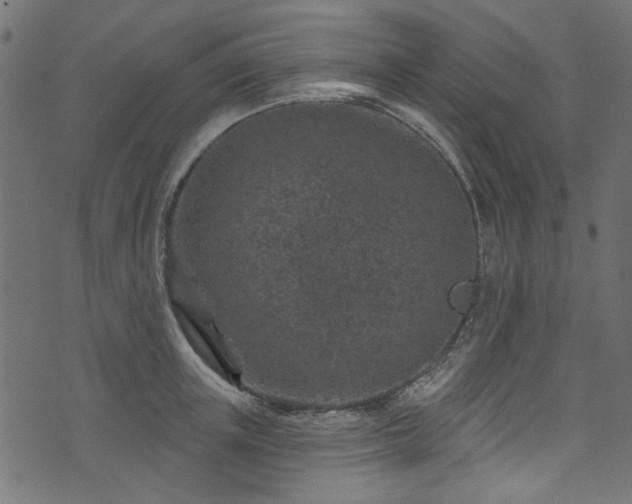 X0000074040851200608281443