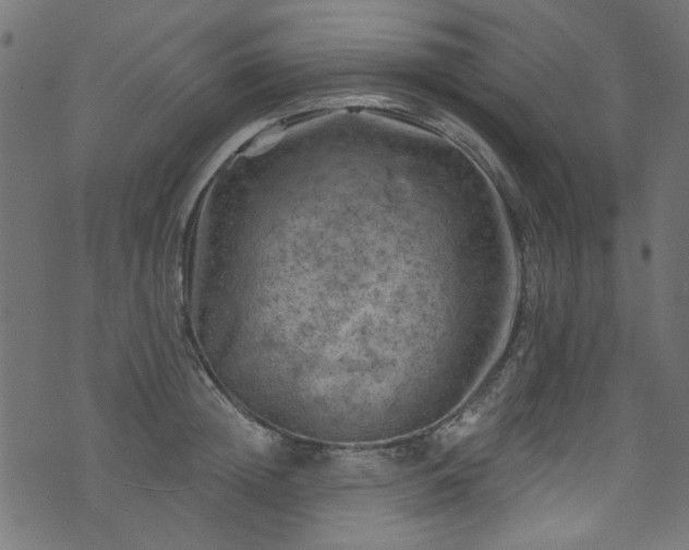 X0000074040852200608281443