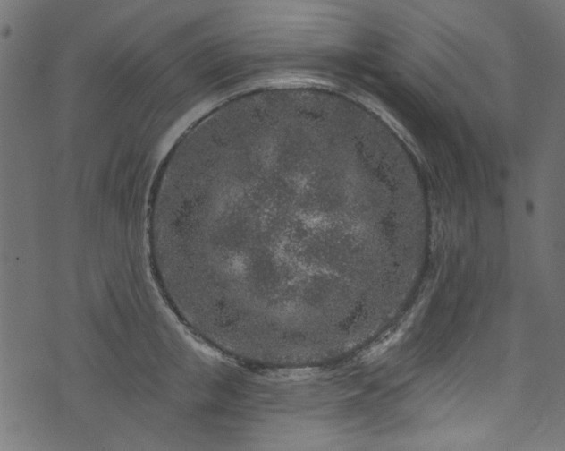 X0000074040853200608281443