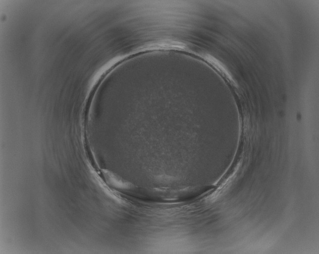 X0000074040854200608281443