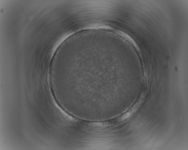 X0000074040855200608281443