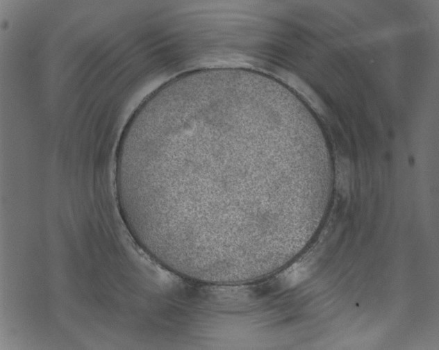 X0000074040856200608281443