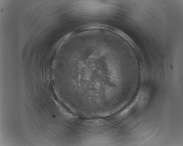 X0000074040857200608281443