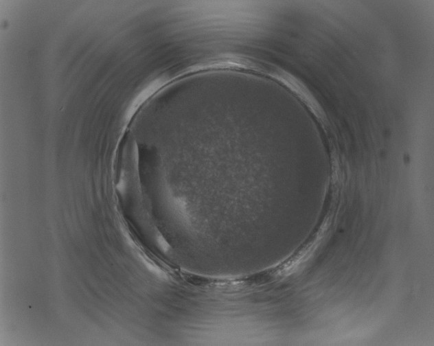 X0000074040858200608281443