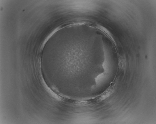 X0000074040859200608281443