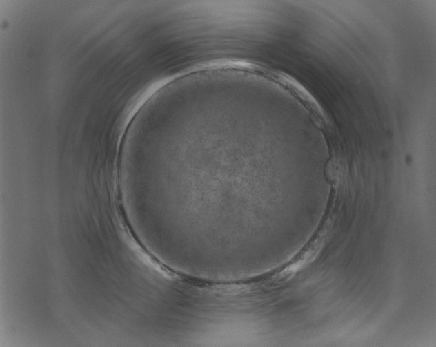 X0000074040860200608281443