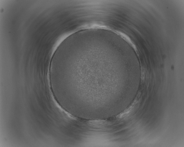 X0000074040863200608281443