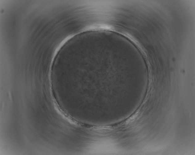 X0000074040864200608281443