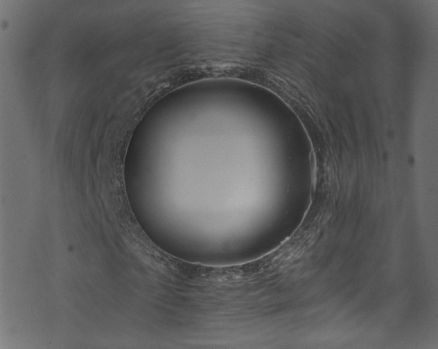 X0000074040865200608281442