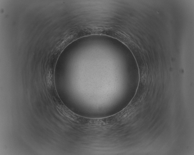 X0000074040866200608281442