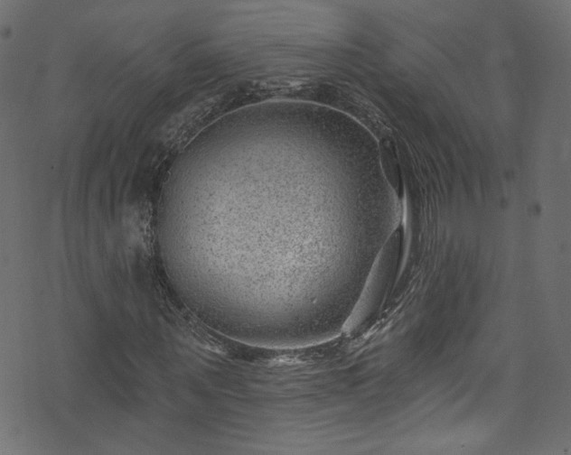 X0000074040867200608281442