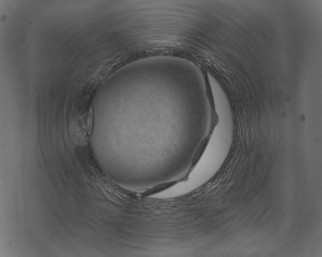 X0000074040868200608281442