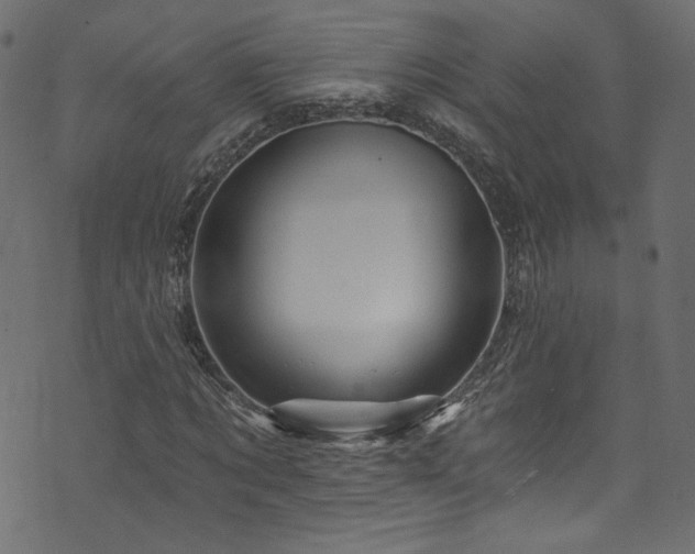 X0000074040869200608281442