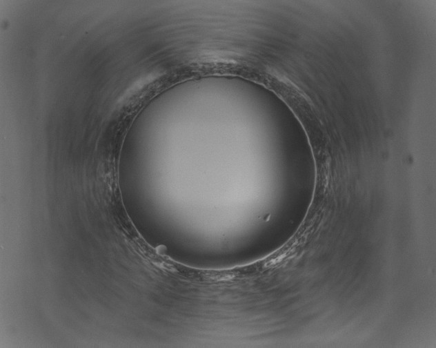 X0000074040870200608281442