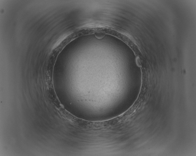 X0000074040871200608281442