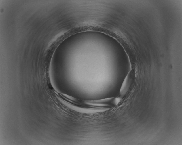 X0000074040872200608281442