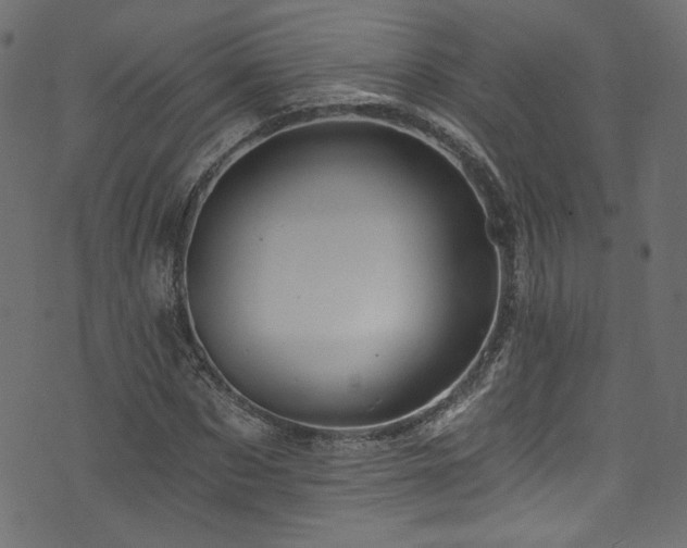 X0000074040873200608281442