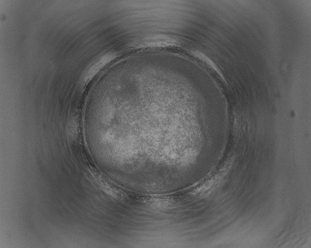 X0000074040874200608281442