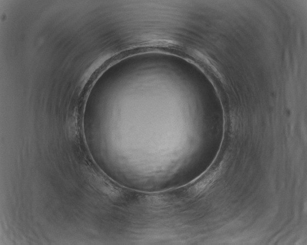 X0000074040875200608281442