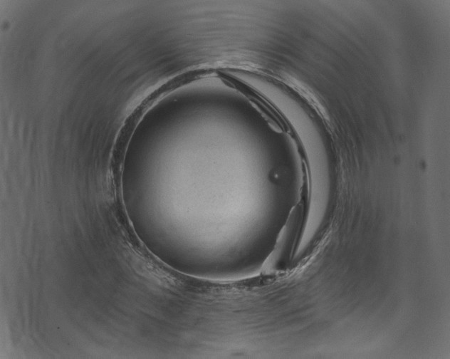 X0000074040876200608281442