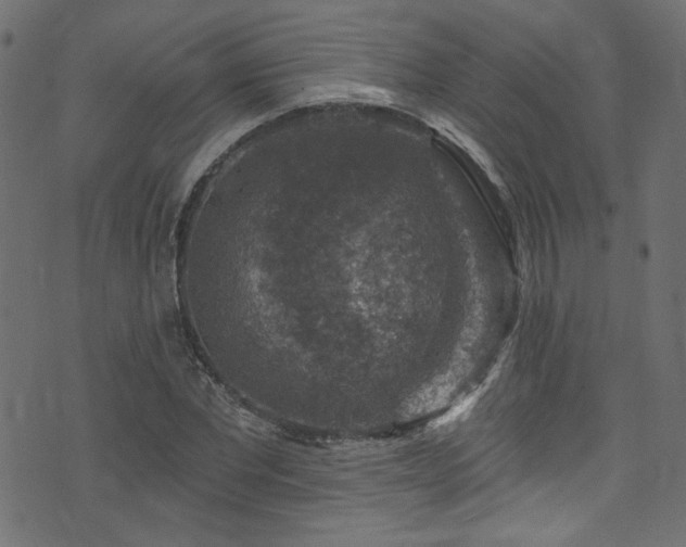 X0000074040877200608281442