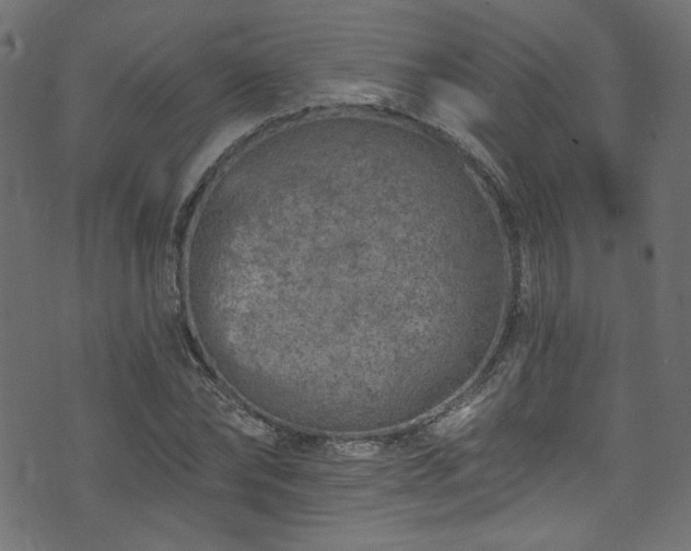 X0000074040878200608281442