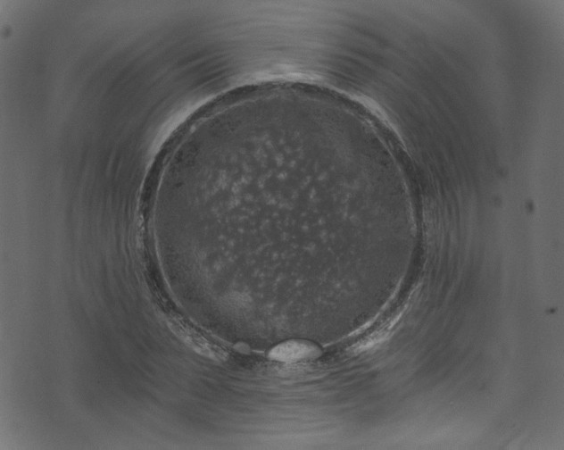 X0000074040879200608281442