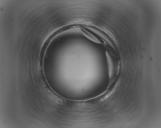 X0000074040880200608281442