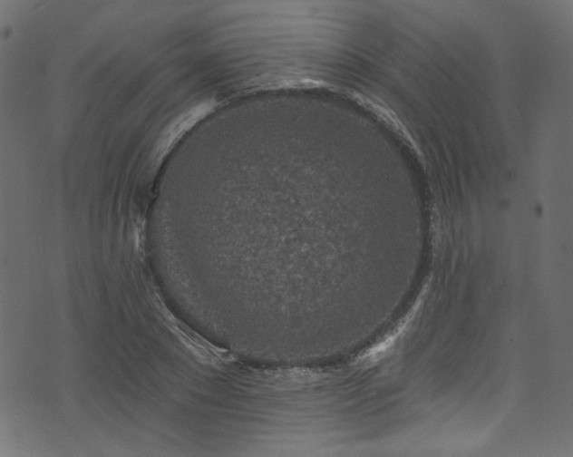 X0000074040881200608281442