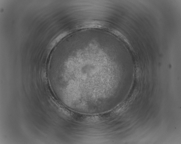 X0000074040882200608281442