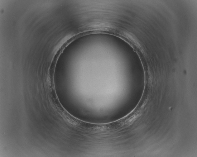 X0000074040883200608281442