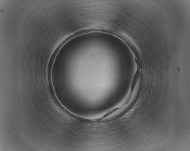 X0000074040884200608281442