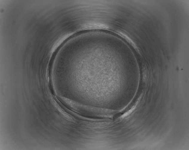 X0000074040885200608281442