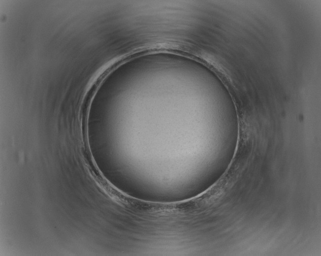 X0000074040886200608281442