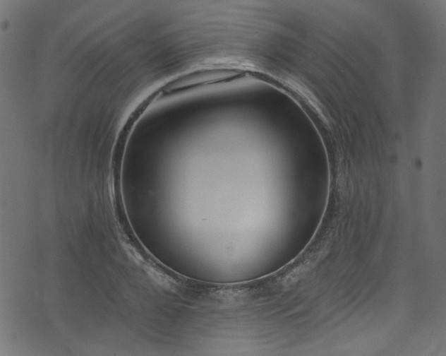 X0000074040888200608281442