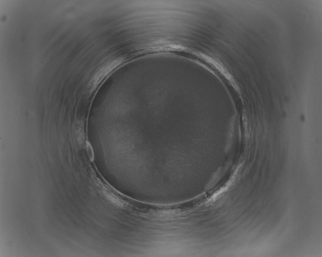 X0000074040889200608281442