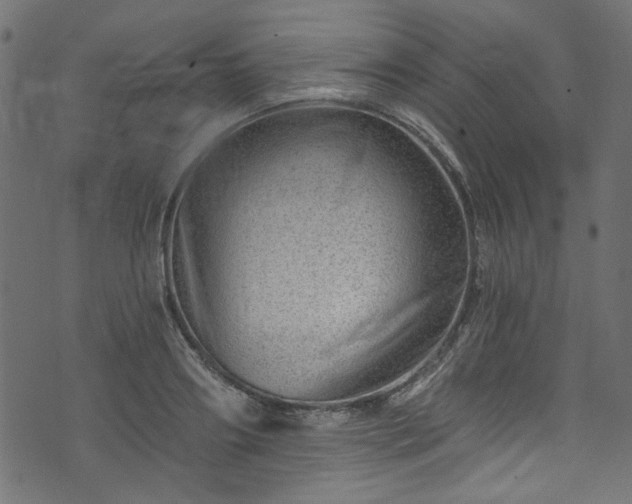 X0000074040890200608281442