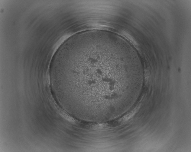 X0000074040891200608281442