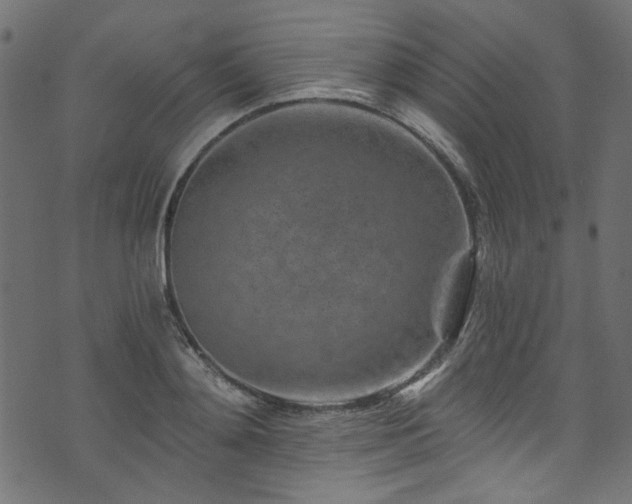 X0000074040892200608281442